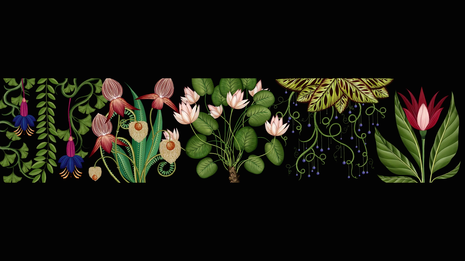 Subtle Sense The Animated Wallpaper Installation Publicis Botanical