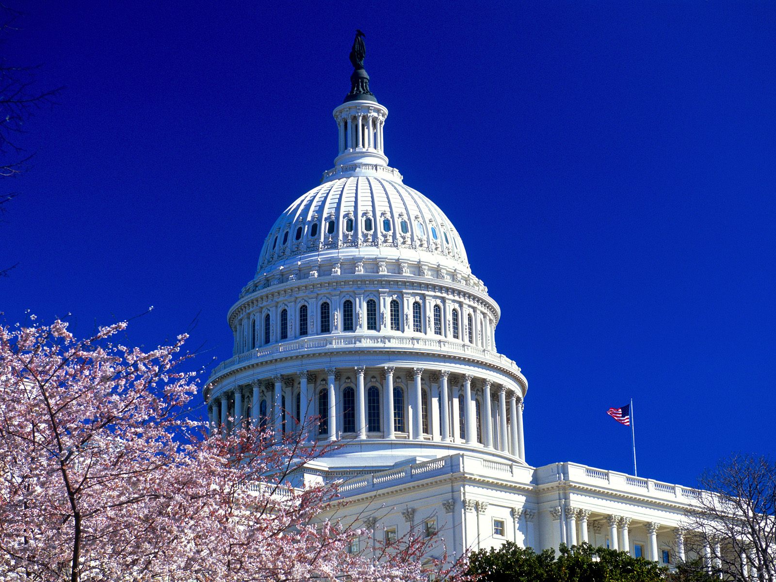 United States Capitol Wallpaper HD