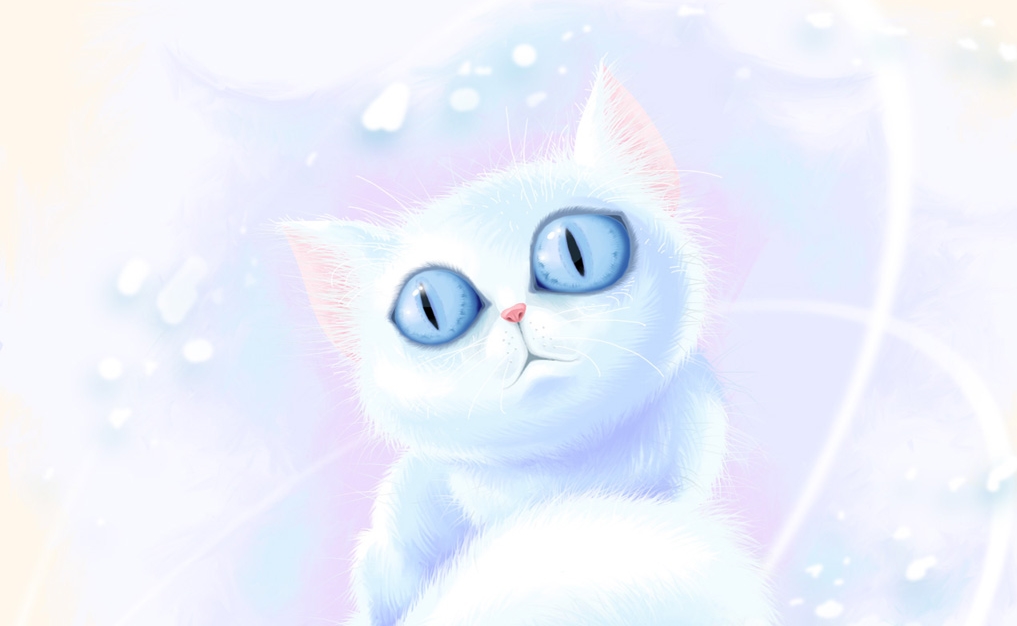 Cat Cartoon Wallpaper Picture White