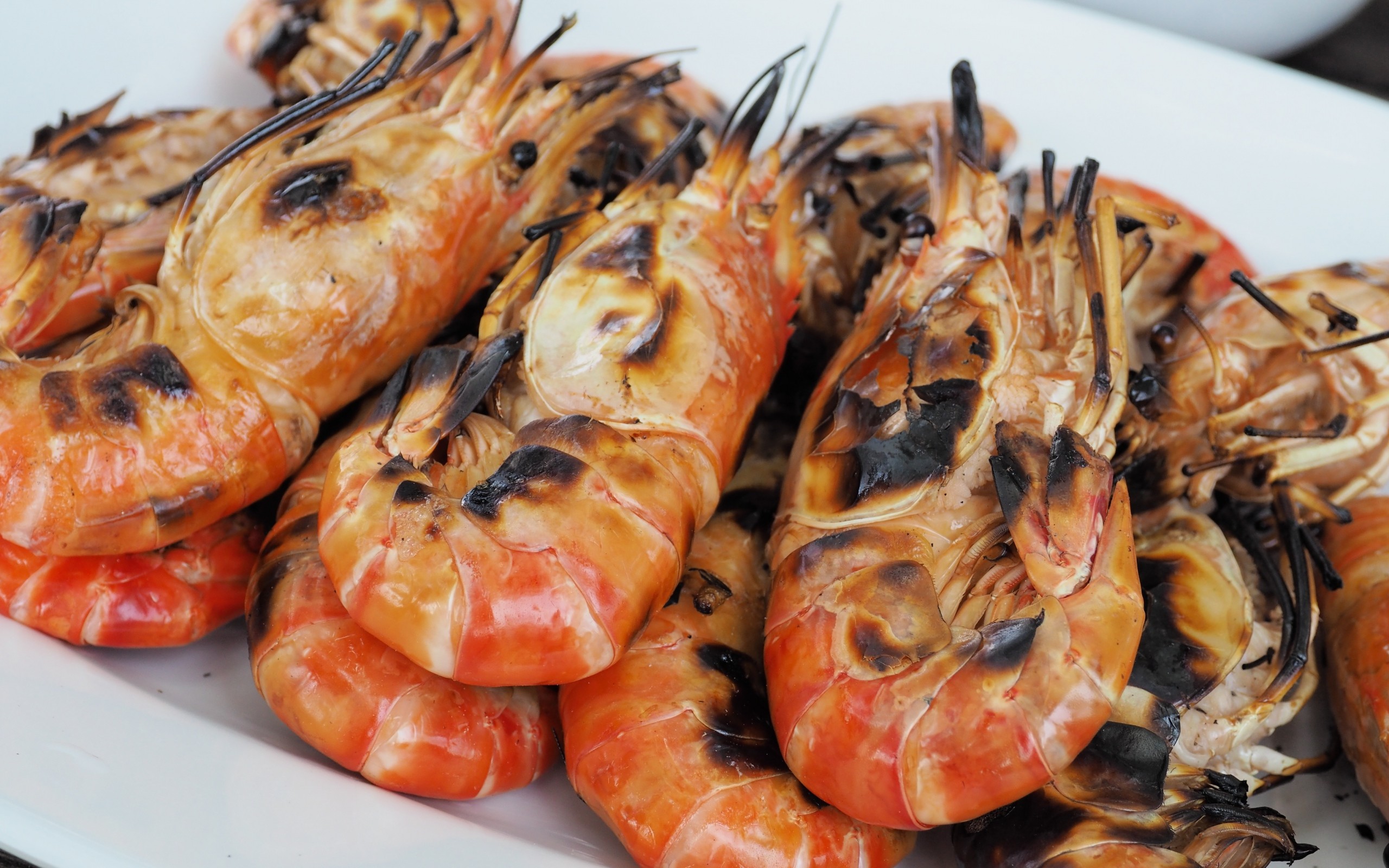Seafood Wallpaper