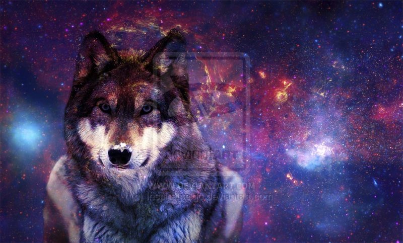 Galaxy Wolf Galactic By Inspireindigo