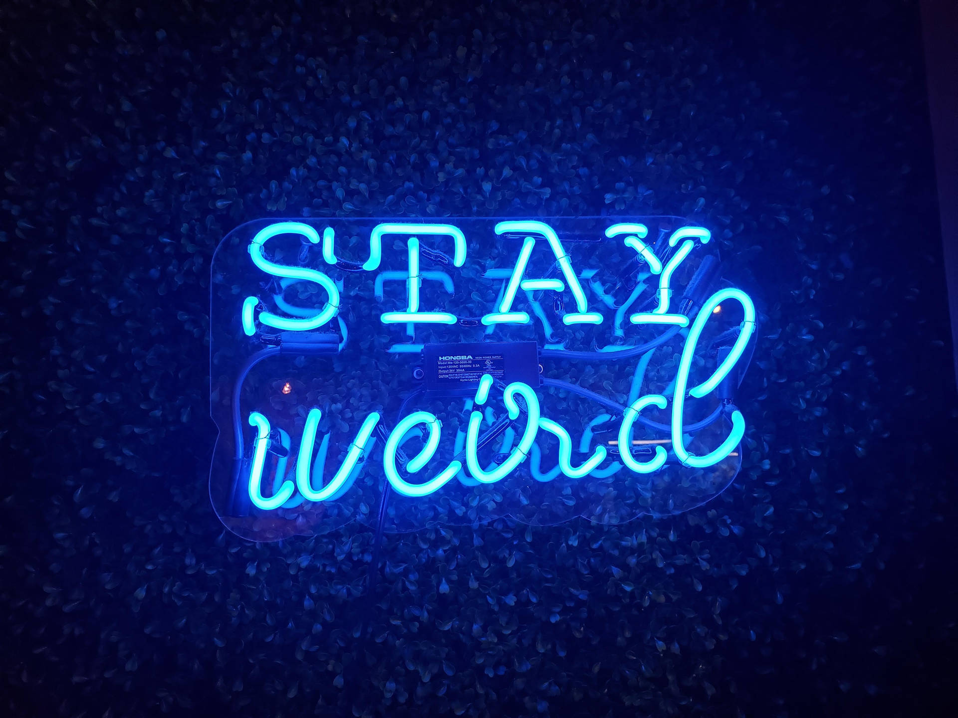 Neon Blue Aesthetic Wallpaper