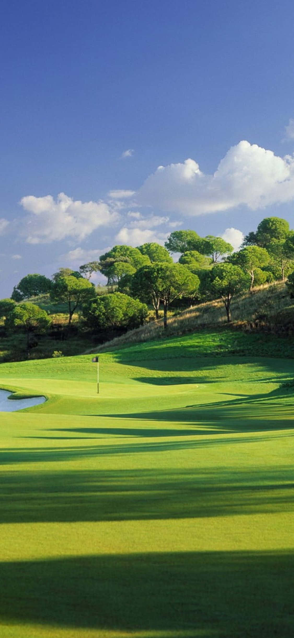 iPhone X Golf Course Background Wallpaper