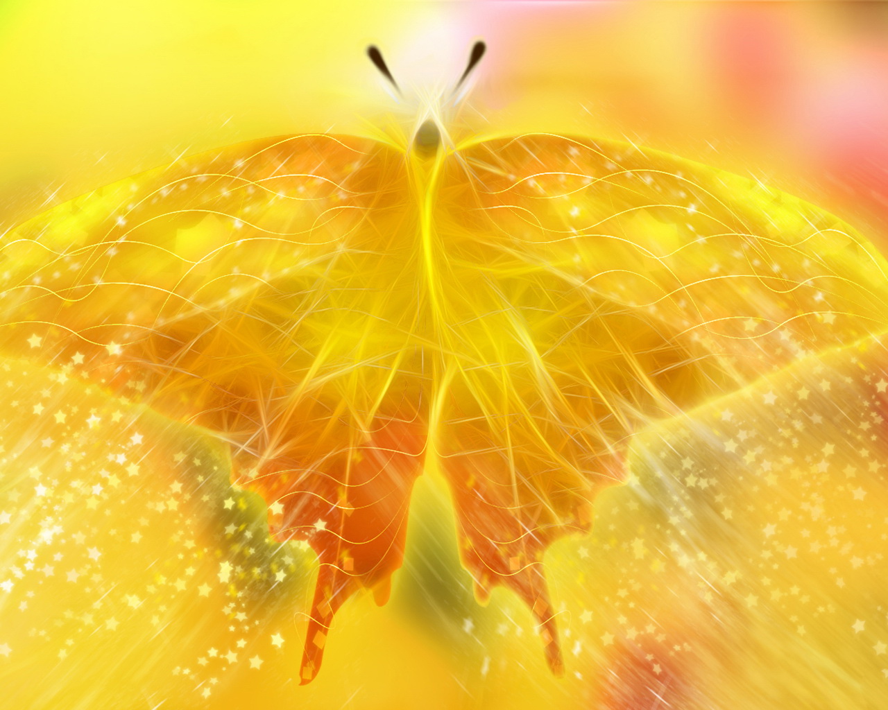 Yellow Butterfly Wallpaper Staes And
