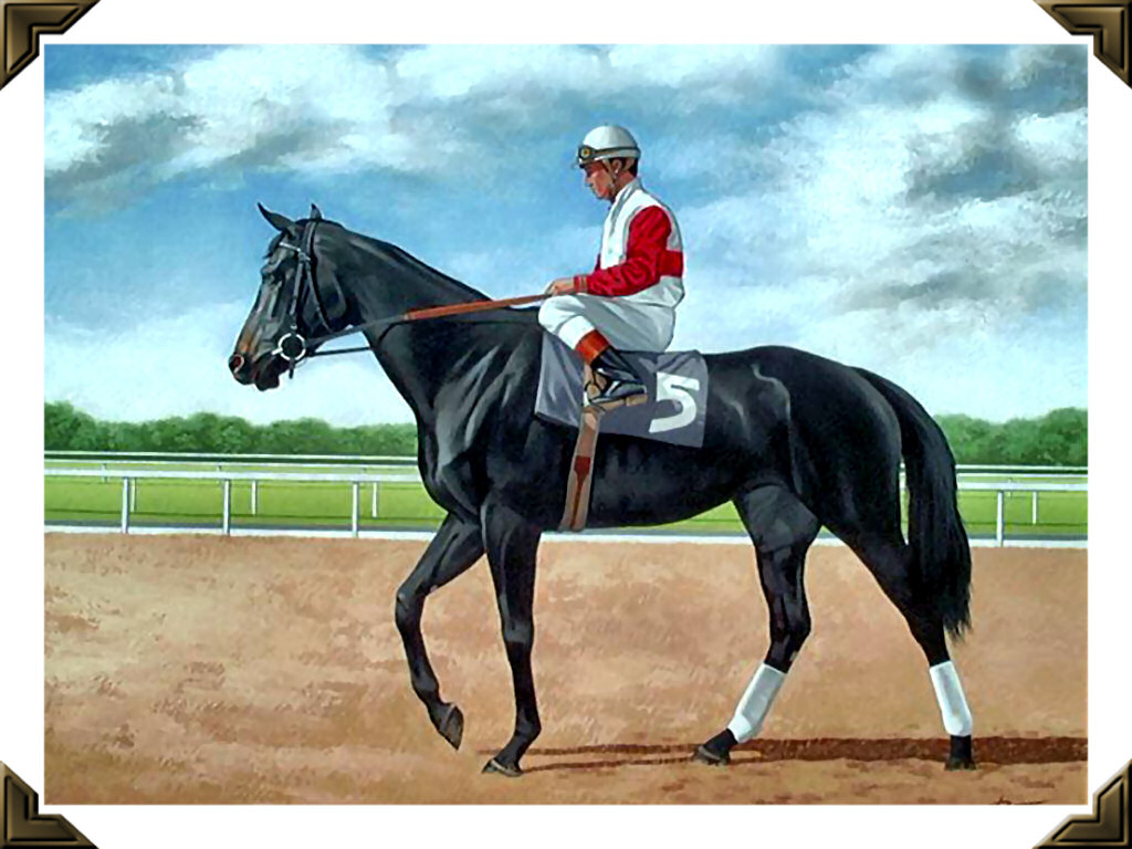 Ruffian Race Horse Wallpaper