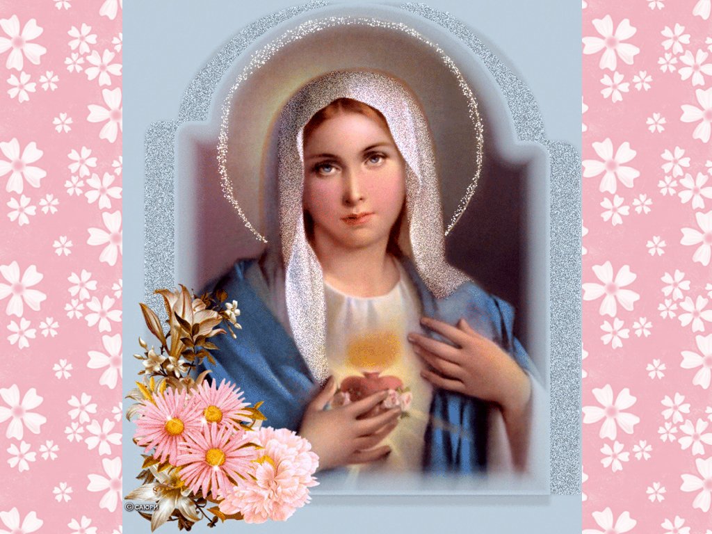 Sweet Virgin Mary Wallpaper