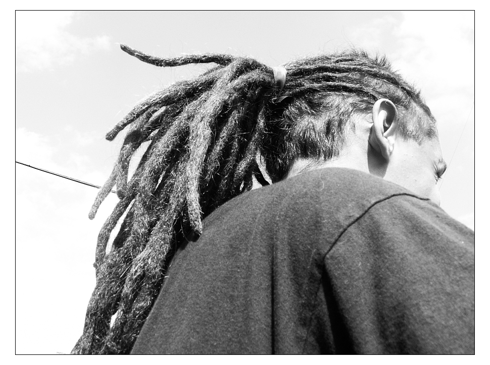 Lion Background With Dread Dreads In The Backgrounds | JPG Free Download -  Pikbest