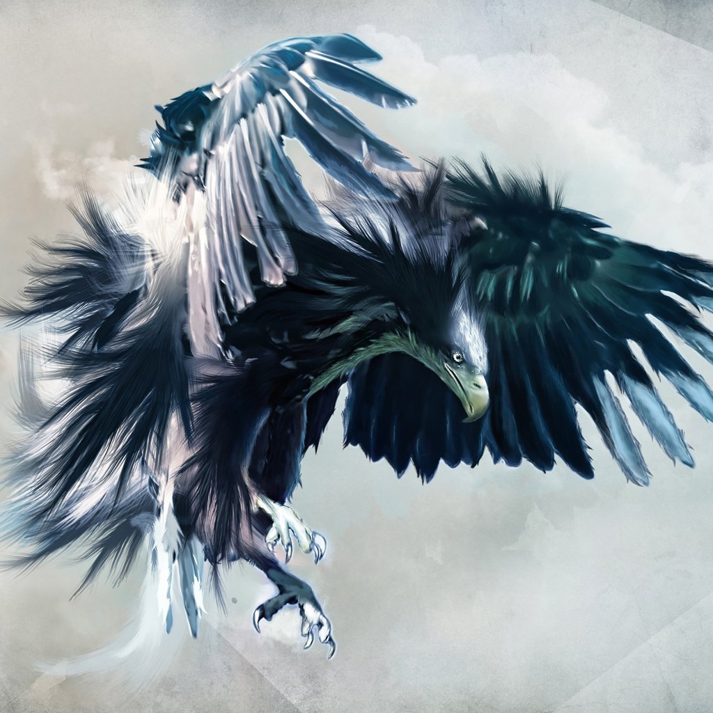 Eagle Hawk Wallpaper 1024x1024