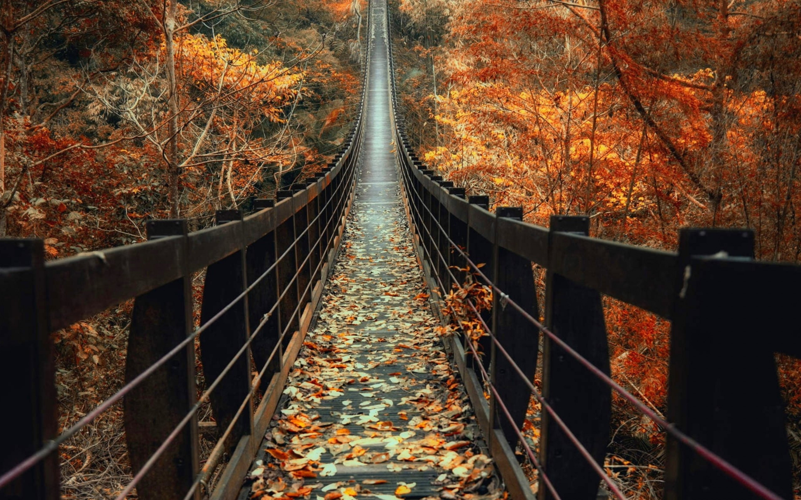 Autumn Wooden Bridge Fall Leaves Path