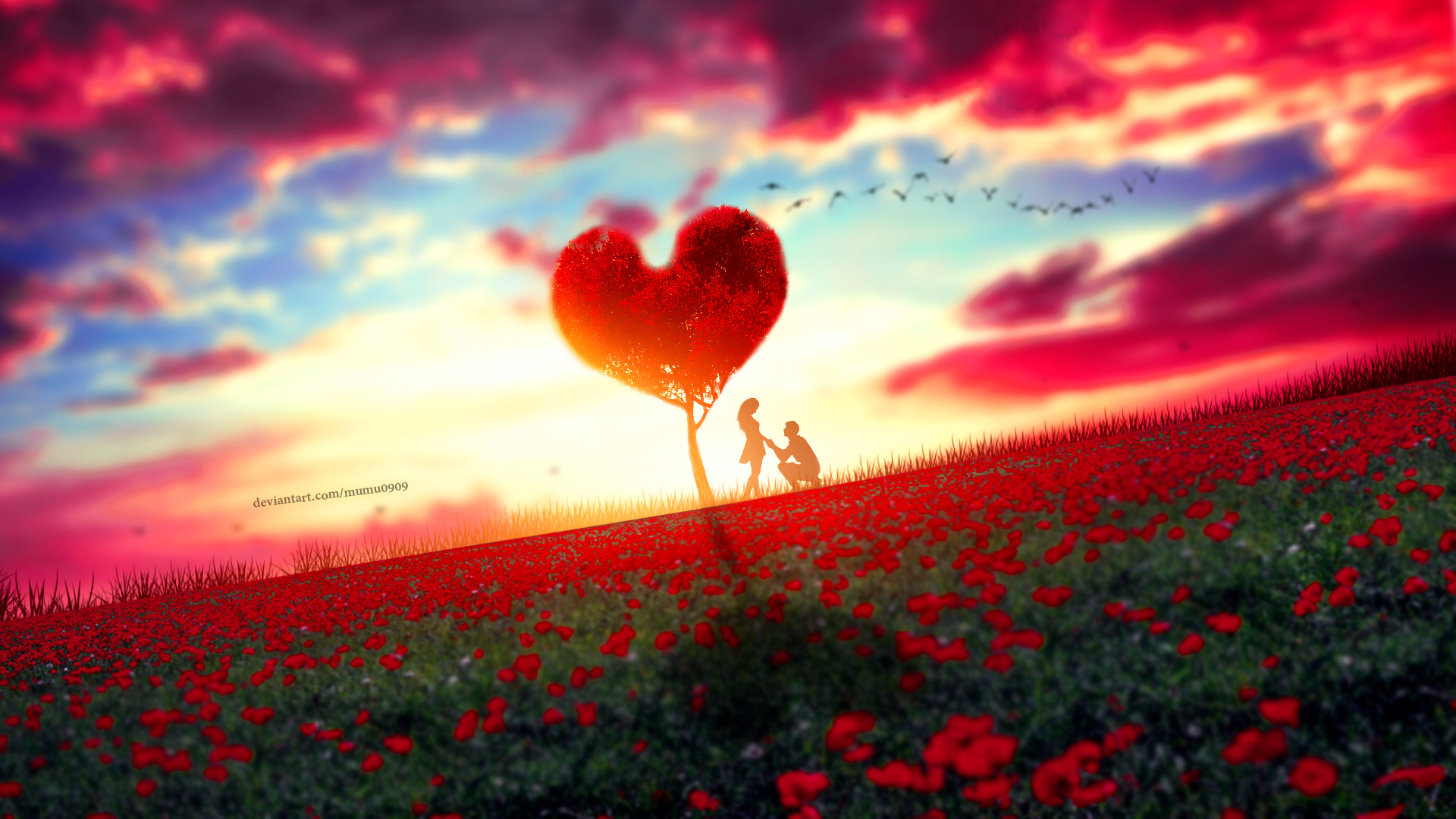 Couple Moment Wallpaper Hd Love 4k Image