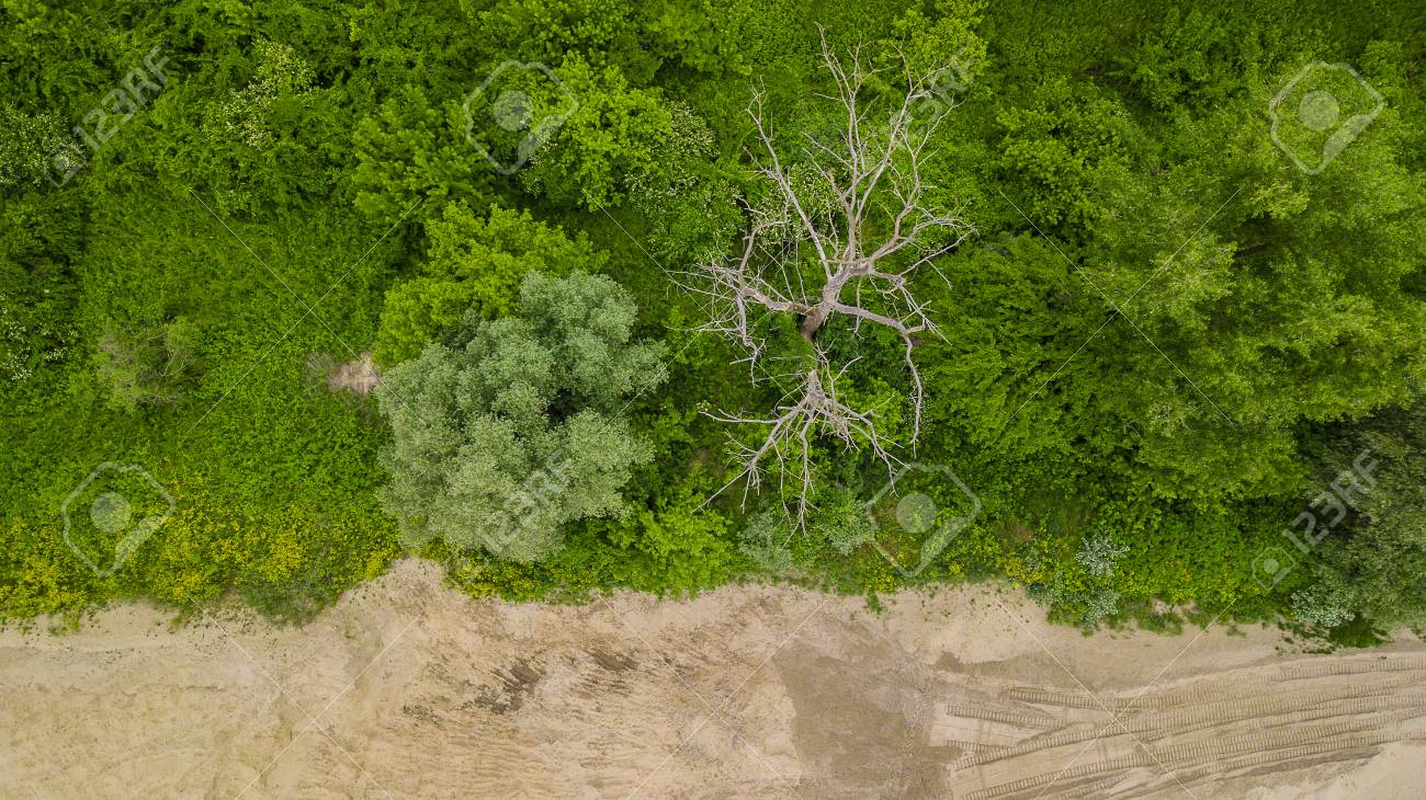 Aerial Top Down Of Foliage Trees Background Stock Photo