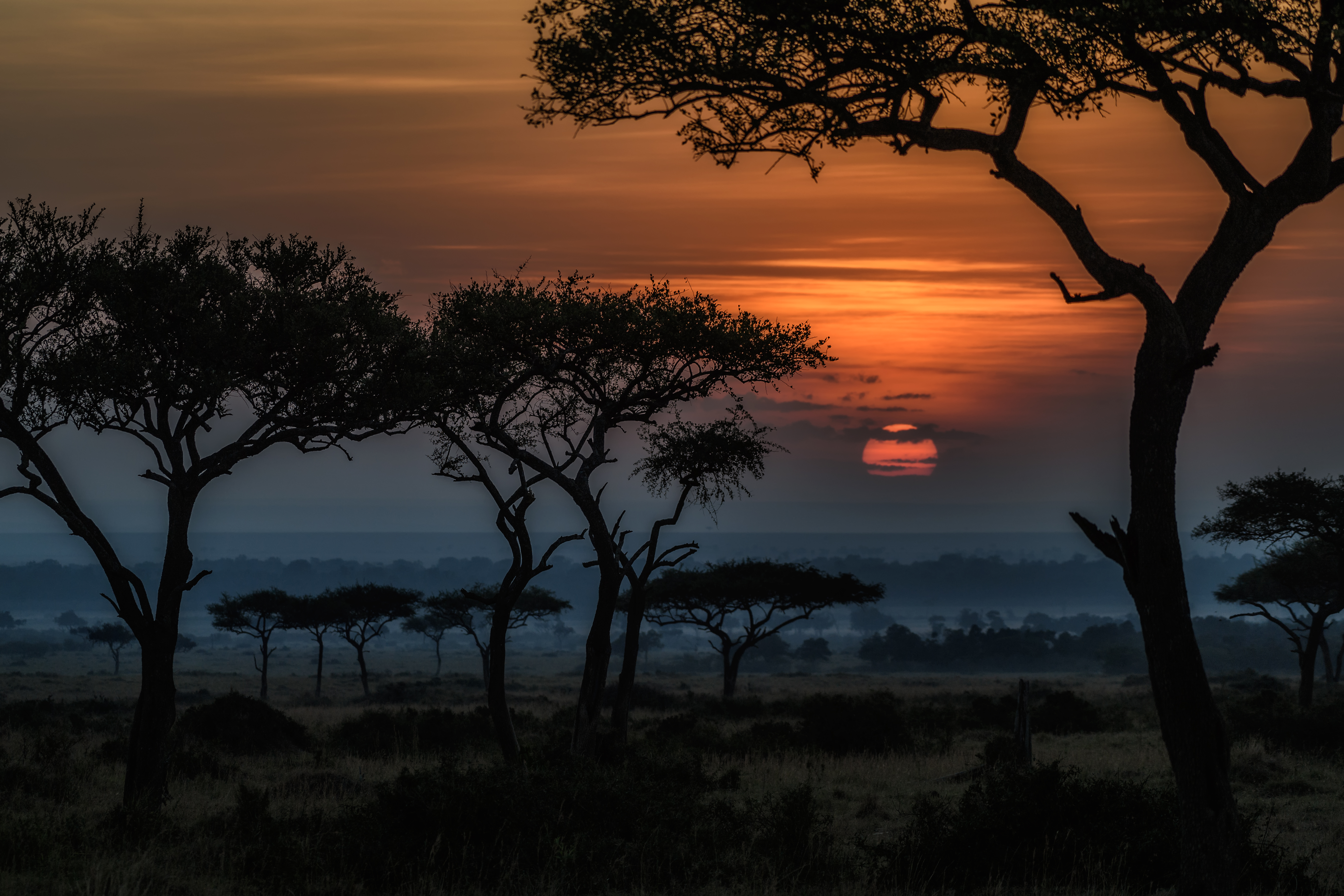 Sunrise In Africa 5k Retina Ultra HD Wallpaper Background Image