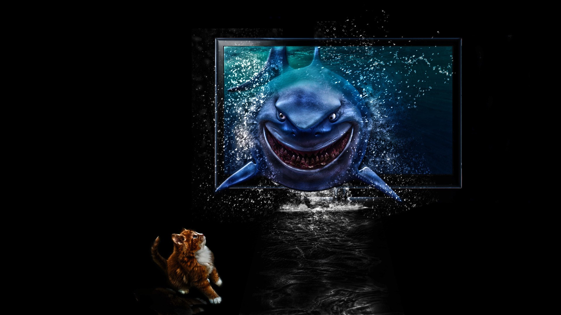 HD Nemo Wallpaper
