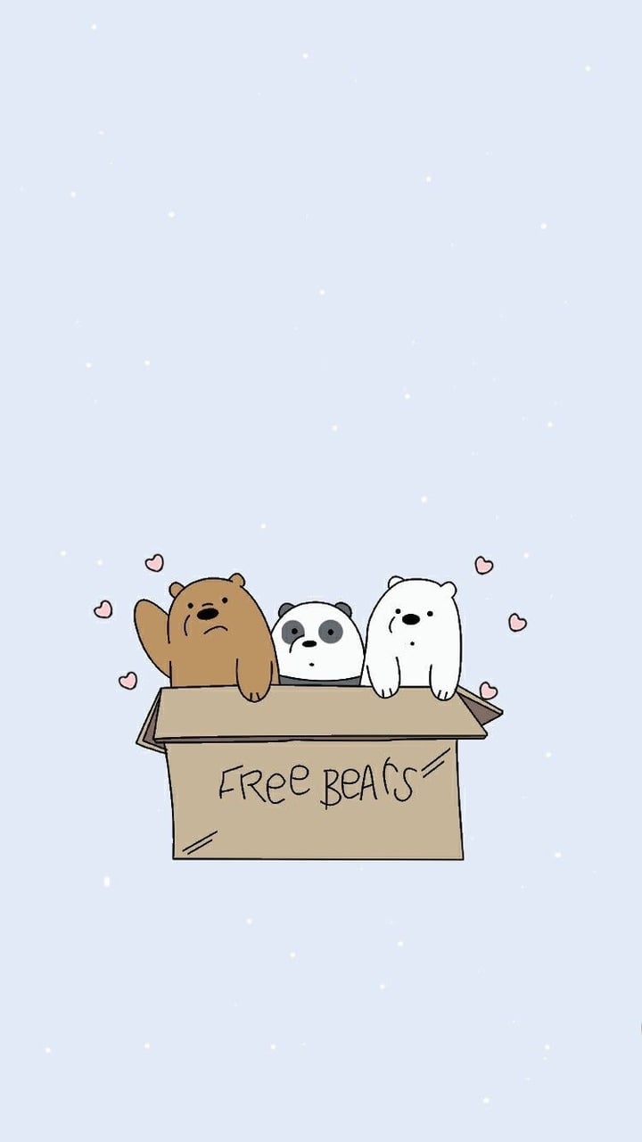 1000 Images About Ice Bear Trending On We Heart It