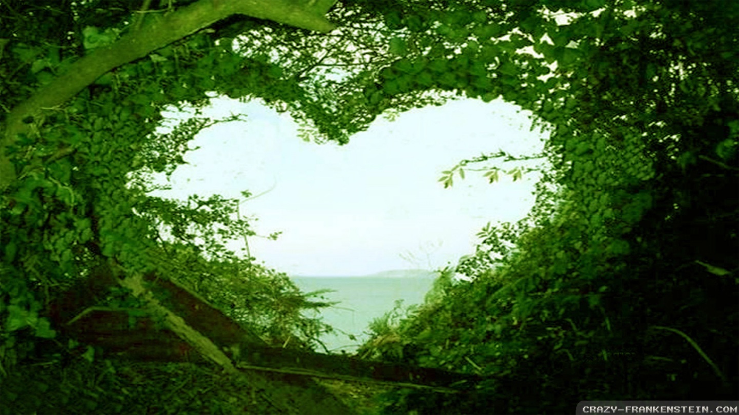 Beautiful Love Nature Wallpaper With Quotes