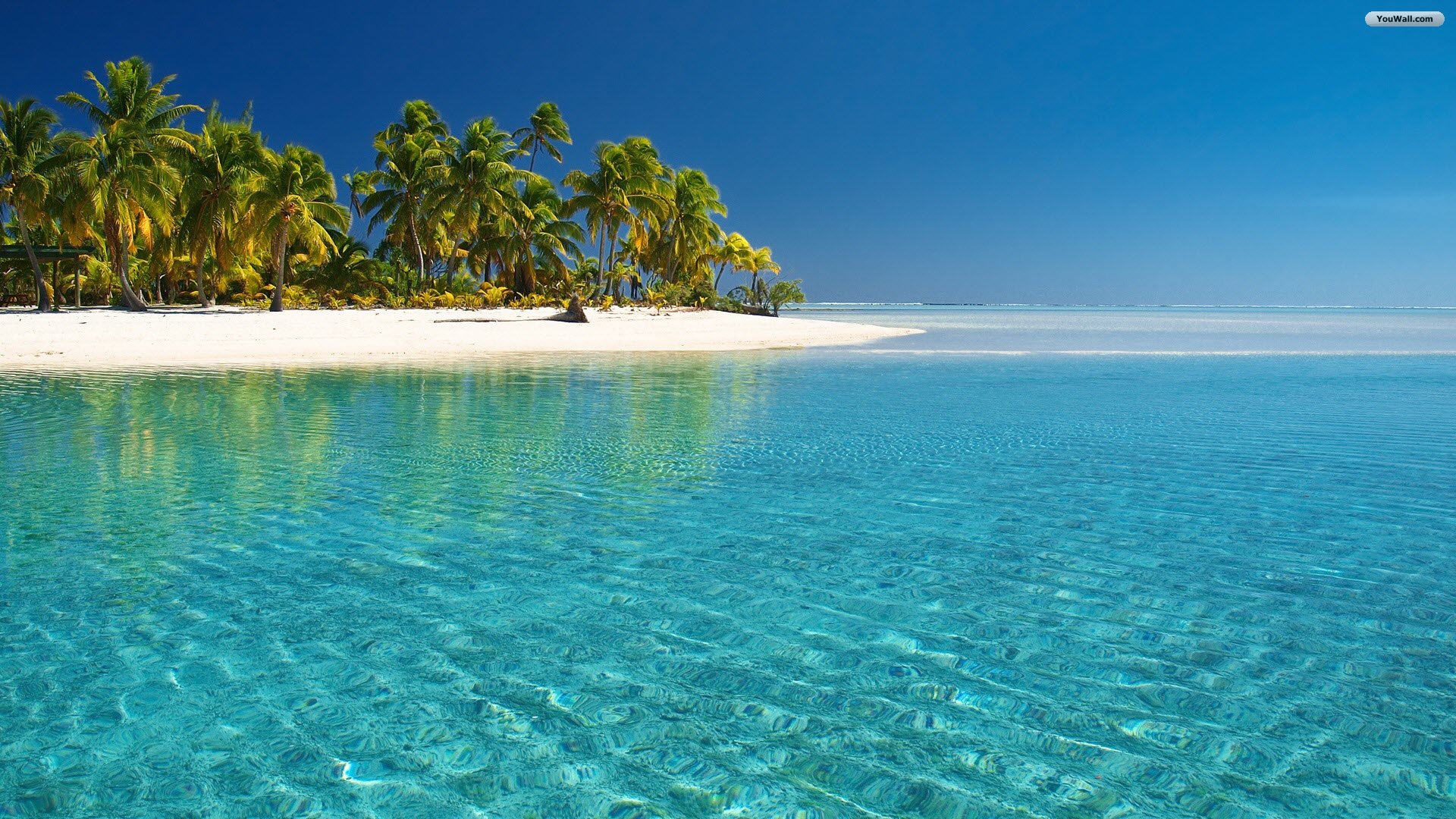 Tropical Beach Wallpaper Glass Water Jpg