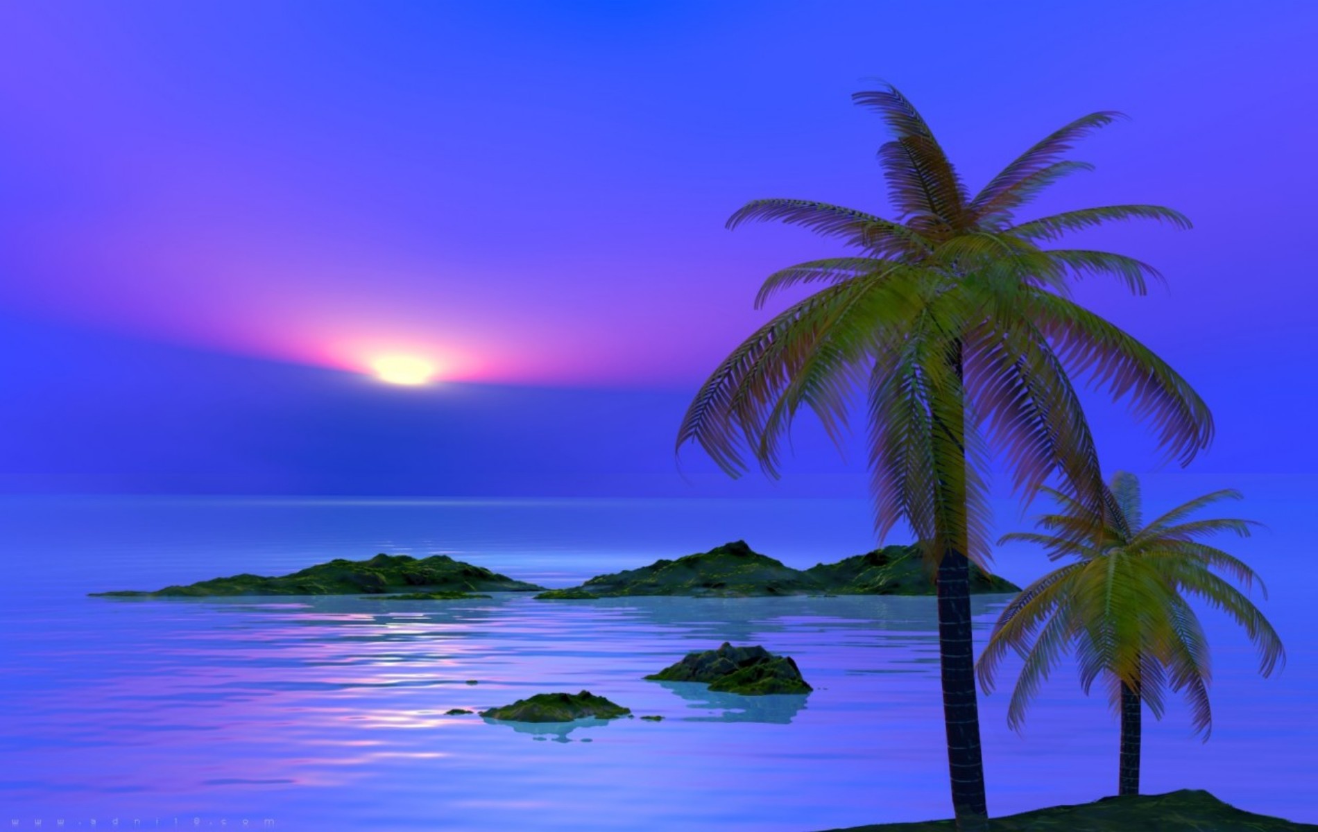 Palm Tree Wallpaper HD Background