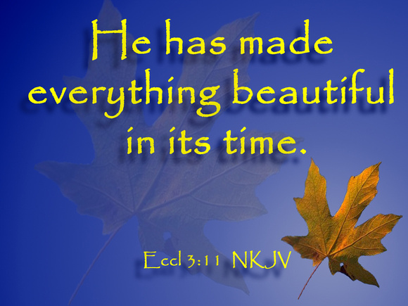 Best Autumn Wallpaper With Bible Quotes