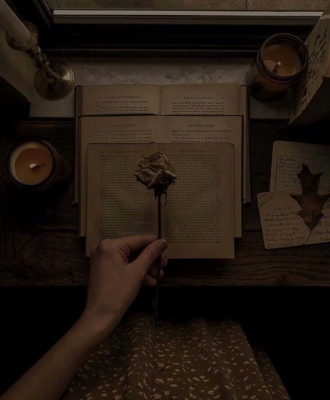 Mysterious Nostalgia Book Rose Wallpaper