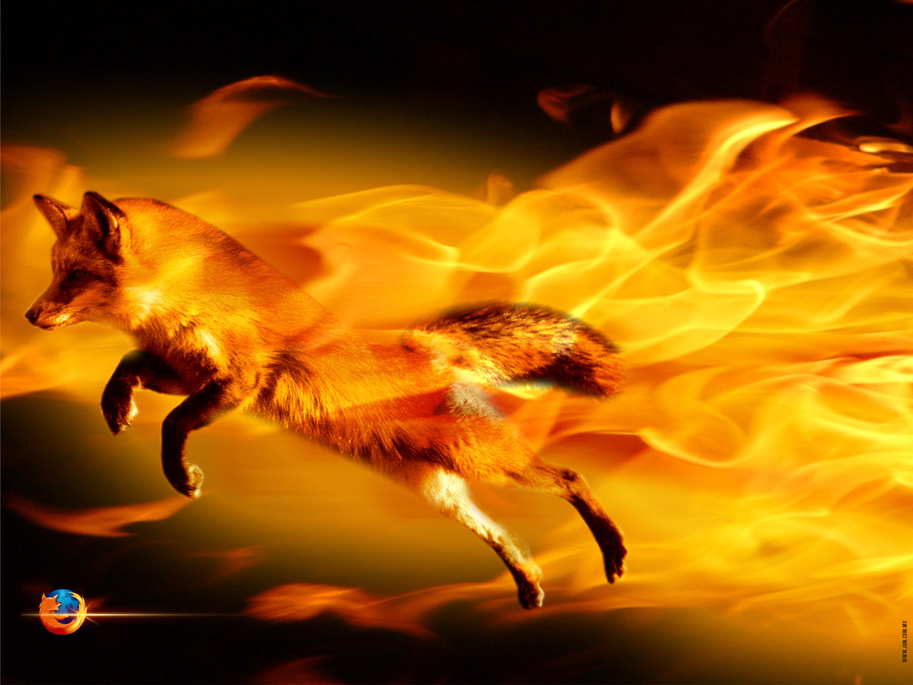 Firefox Image Wallpaper HD And