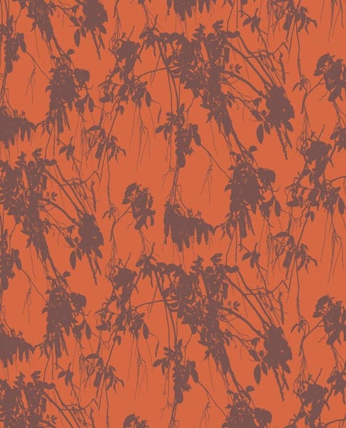Wingnut wallpaper burnt orange Tissus   fabrics Pinterest 485x600