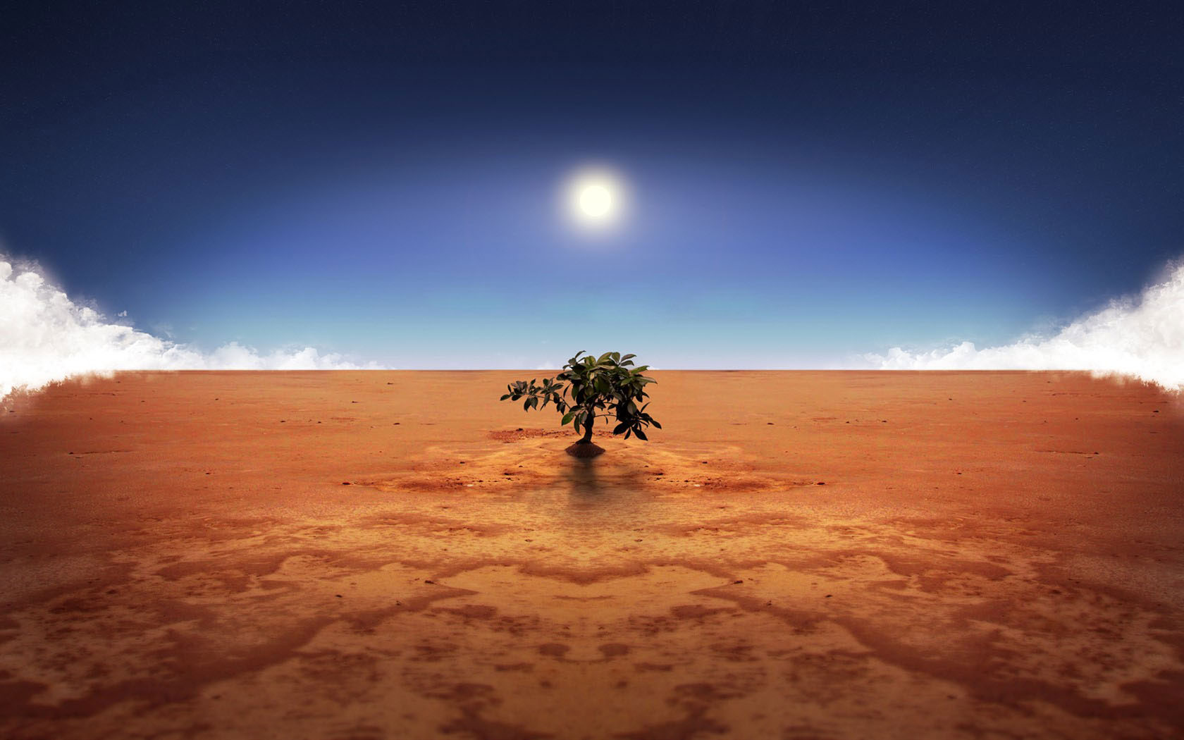 Tree Of Life The Sands Wild Wallpaper Desktop Background Scenery
