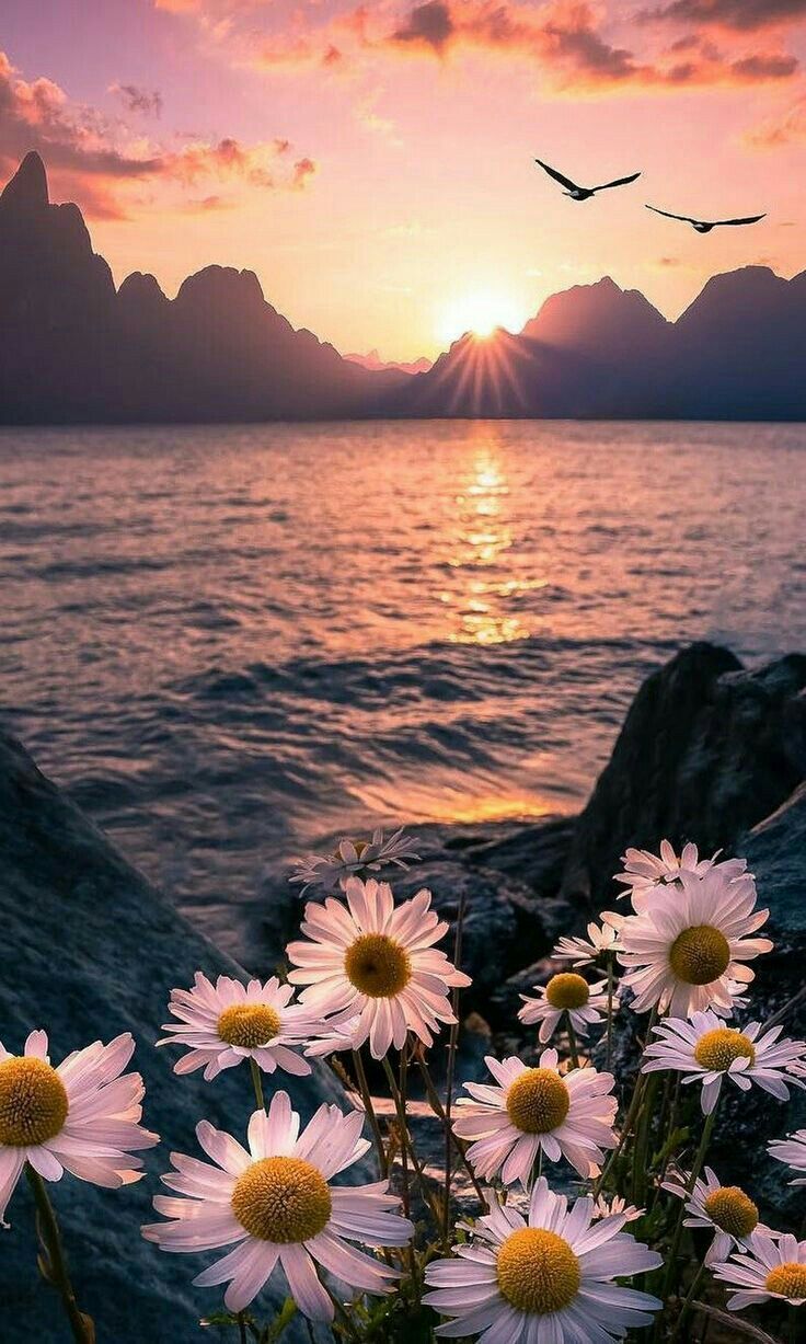 Duvar Ka Tlar Wallpaper