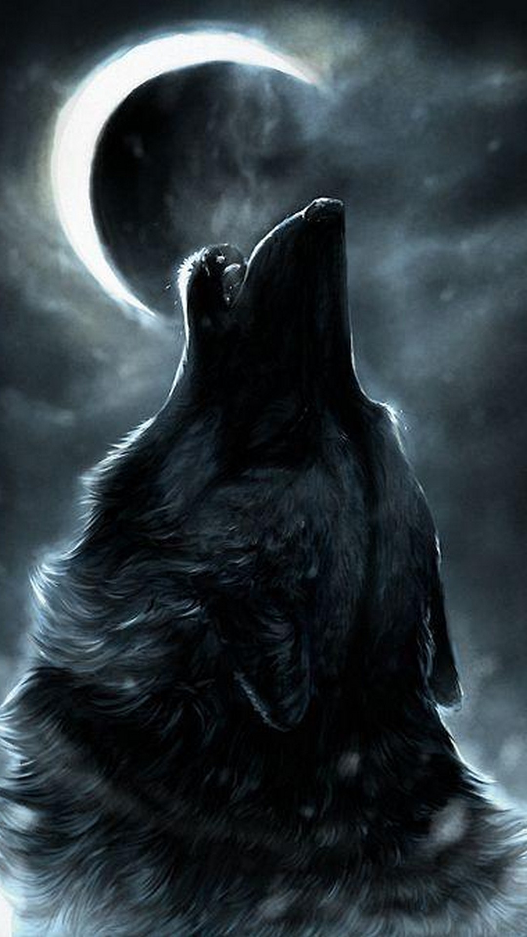 Wolf phone wallpaper 1080P 2k 4k Full HD Wallpapers Backgrounds Free  Download  Wallpaper Crafter