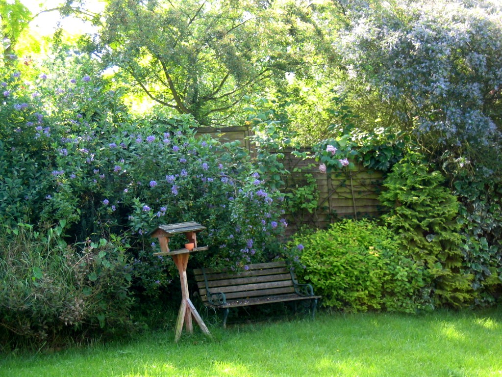 English Country Garden By Mrbiggie