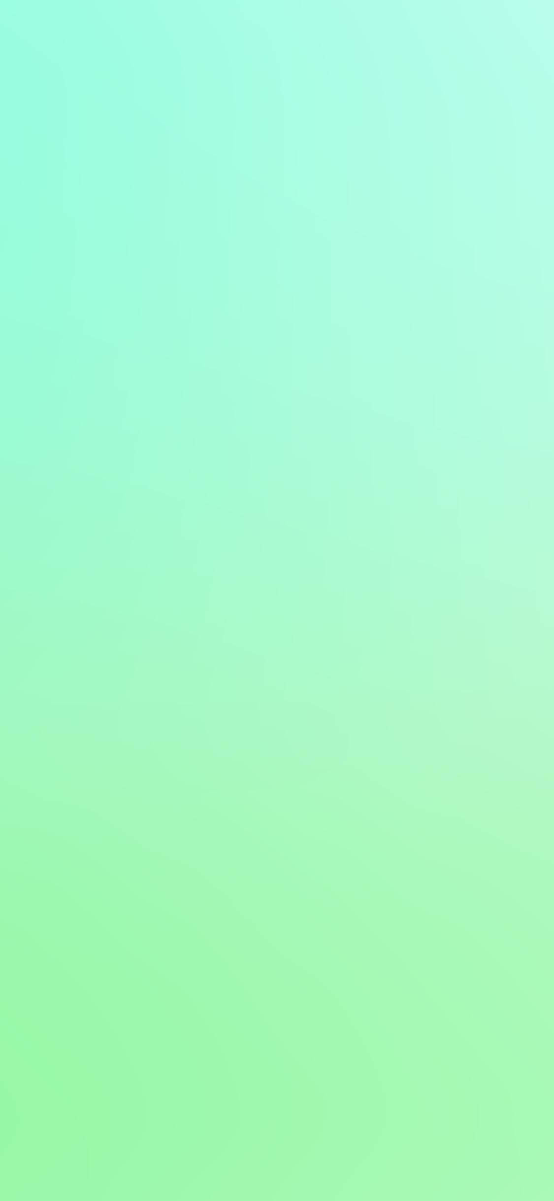 Mint Green iPhone Wallpaper