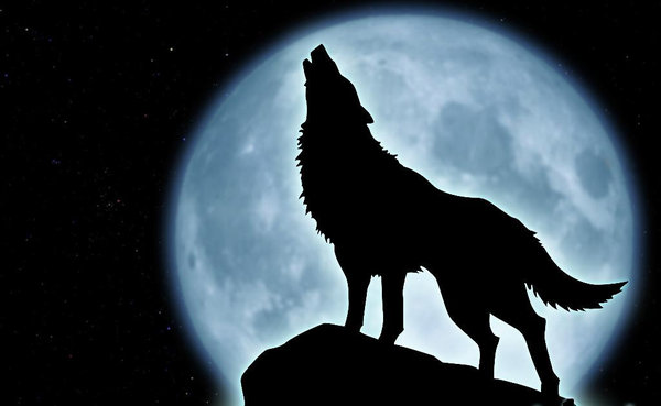 Wolf howling at the moon by hmmmm1797 on