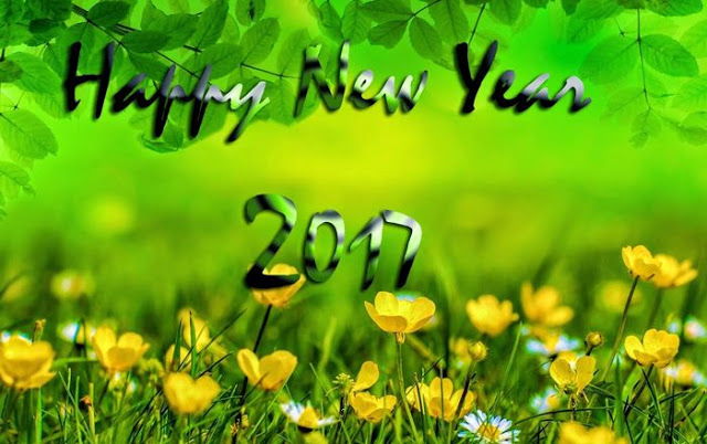 Happy New Year HD Wallpaper Image Pictures Photos