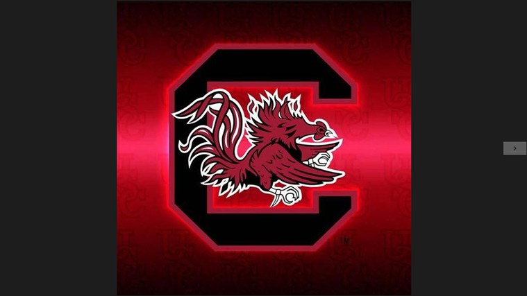 College Fight Songs South Carolina Gamecocks Album App Screen Shot
