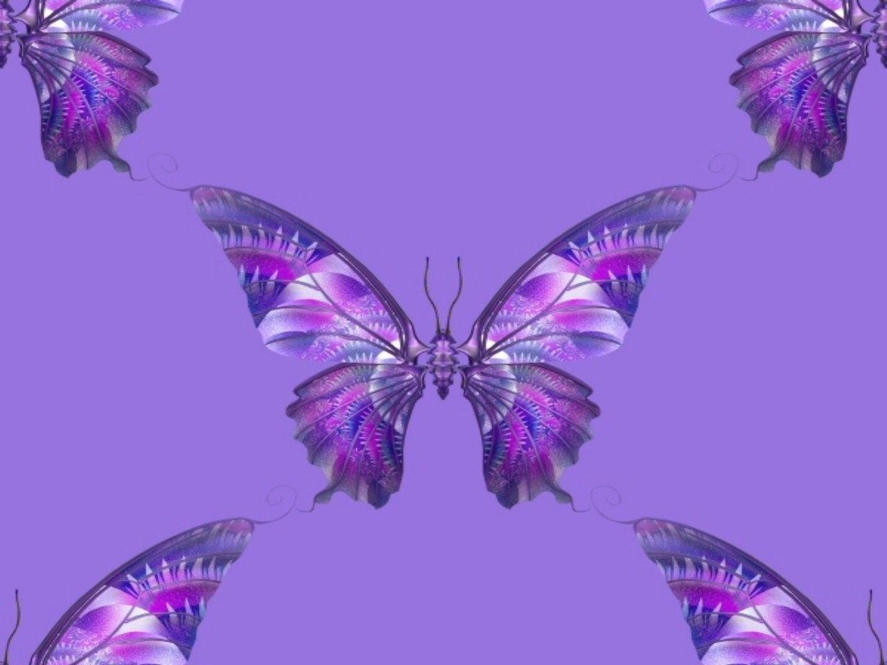 Purple Butterflies Wallpaper 58 images