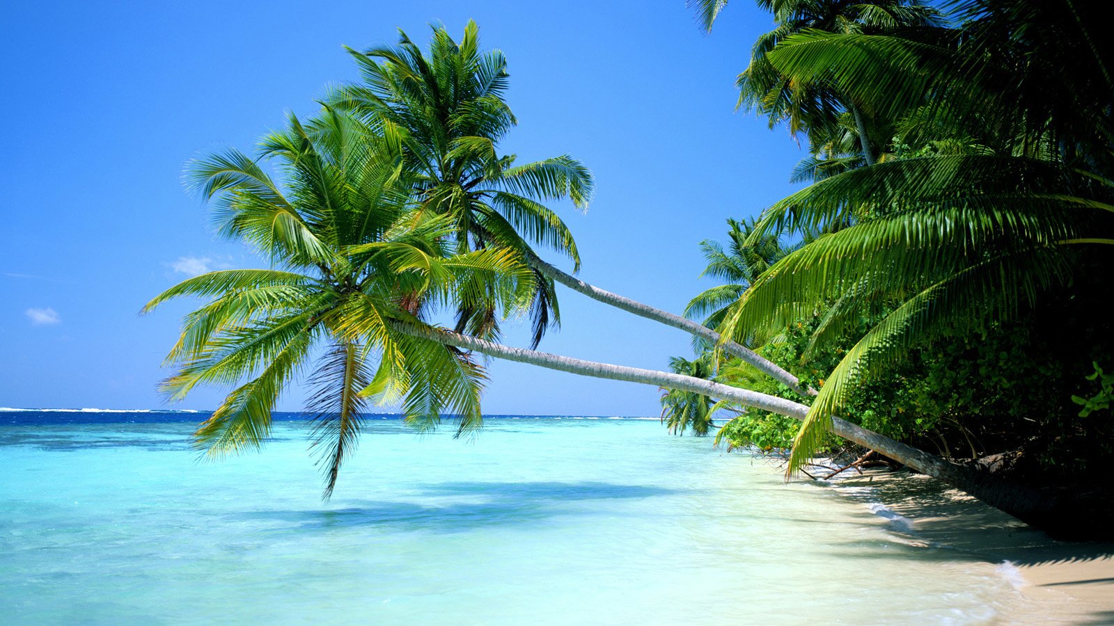 Tropical Beach Desktop Wallpaper 1600x900 pixel Popular HD Wallpaper