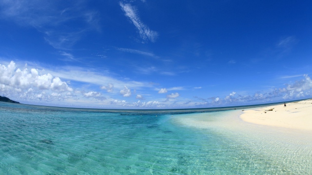 Wallpaper beach sand gulf blue water horizon HD
