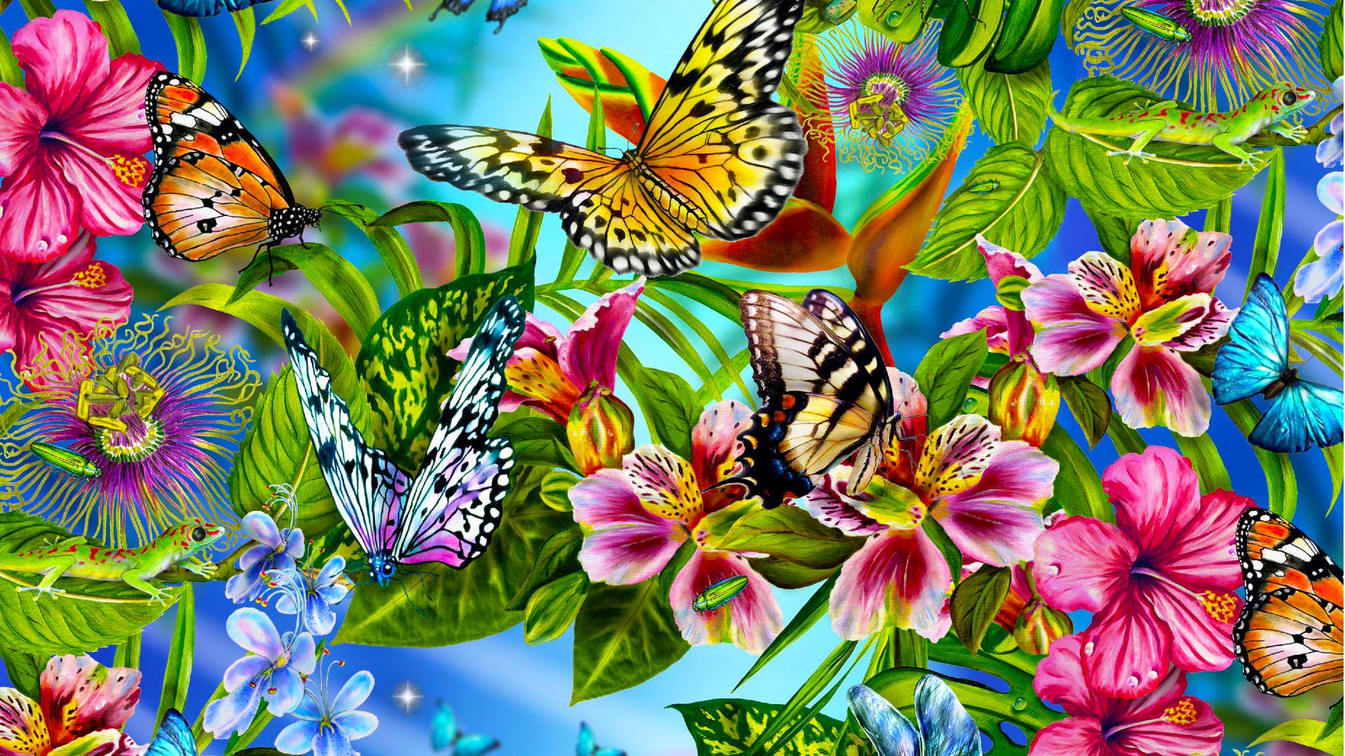 Colorful Butterfly Backgrounds Wallpaper Cool Hd Wallpaper