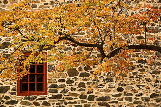 Stone Wall And Autumn Branch At Brandywine Wallpaper Mural Self