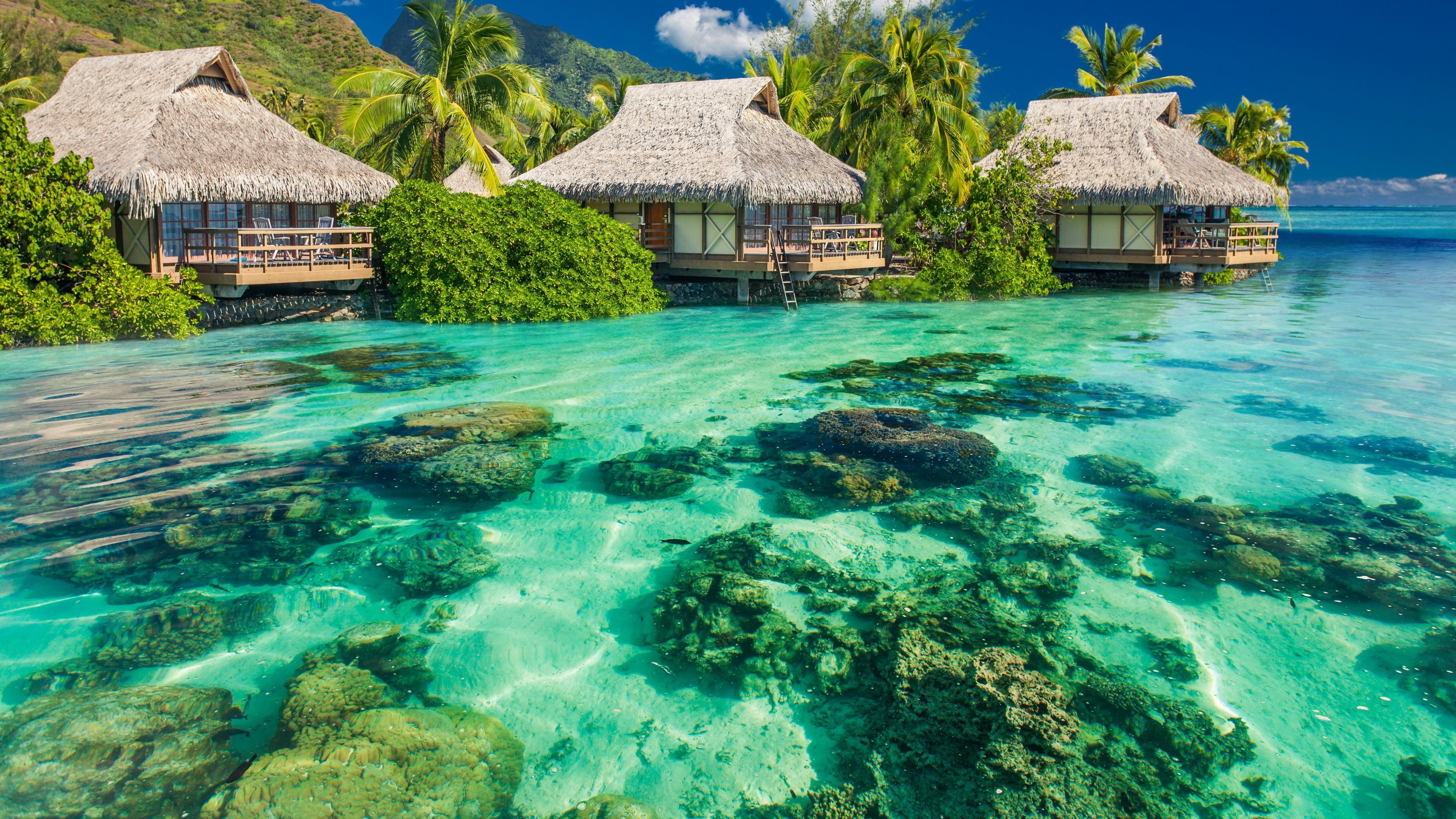 Overwater bungalows in crystal-clear turquoise water with a vibrant coral reef, surrounded by lush tropical vegetation and palm trees, set against a backdrop of a clear blue sky and a verdant mountain