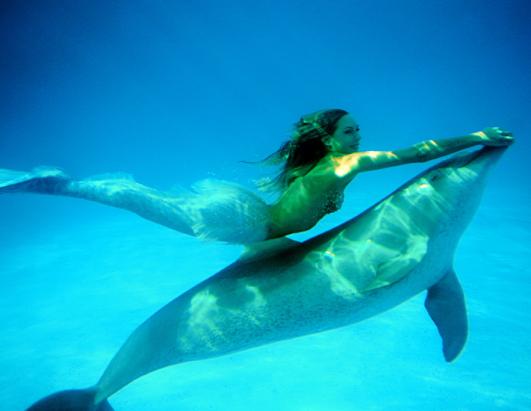Trending News Photos Real Life Mermaid Swims With Whales