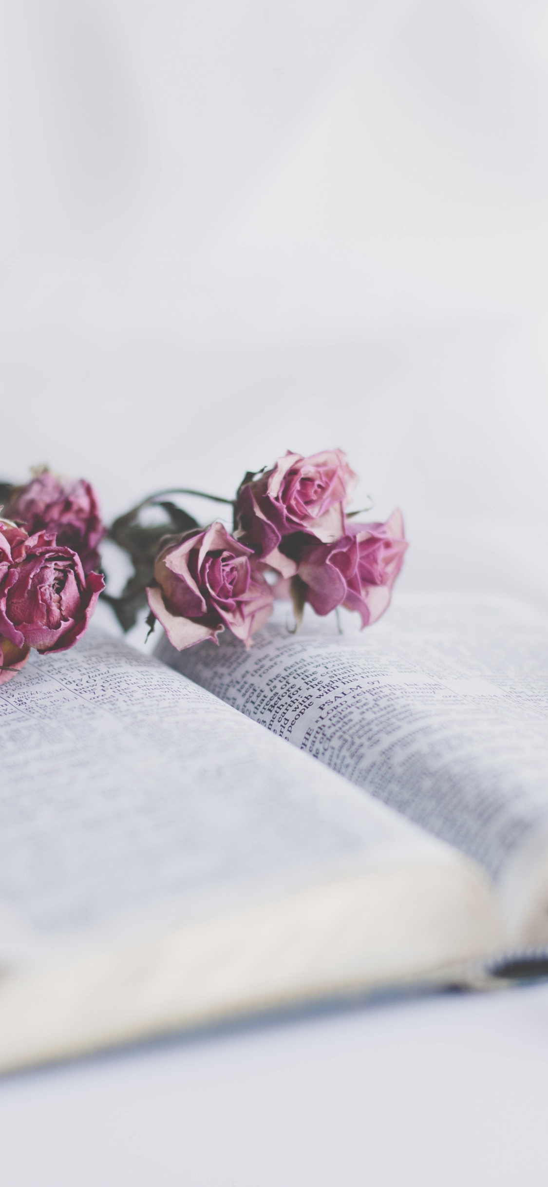 Book And Roses Flowers Wallpaper iPhone X