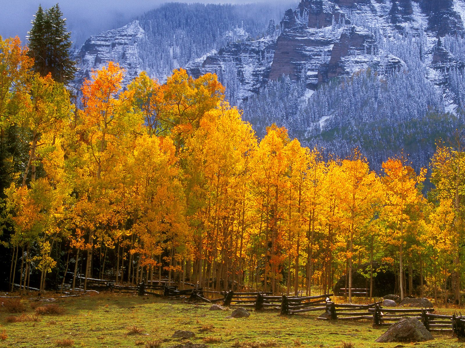 Fall In The High Country Colorado Picture