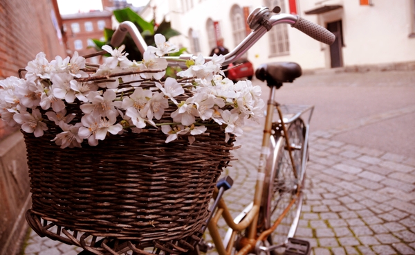 Bicycles Flowers Italian Romantic European Morning