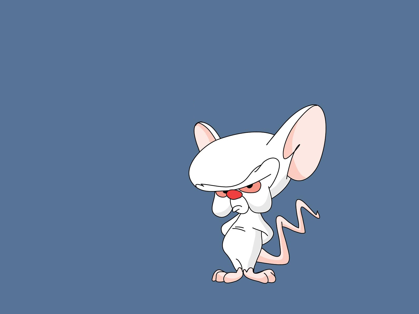 Pinky And The Brain Puter Wallpaper Desktop Background
