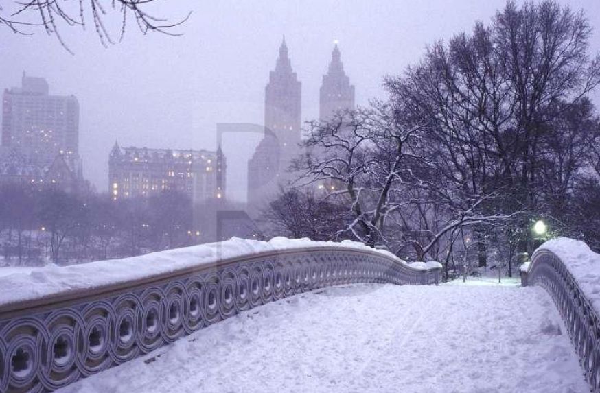 New York City Snow httpfreebridal shower themescomnew york city