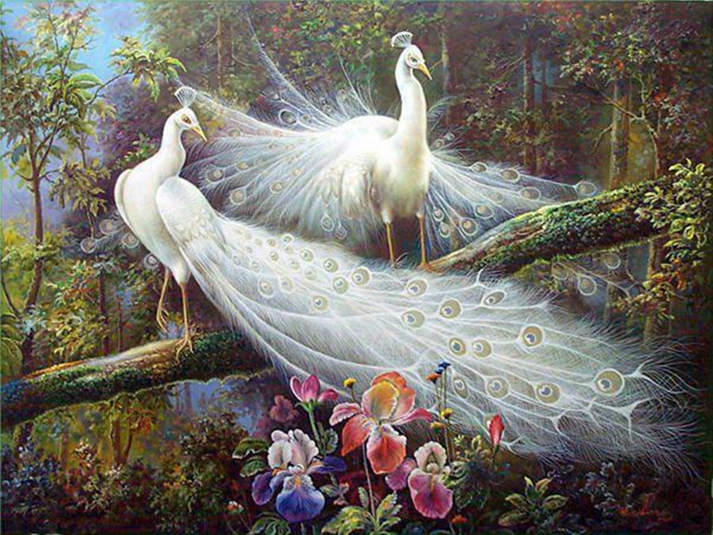 Peacock Painting Pictures Image Photos Live HD Wallpaper Hq