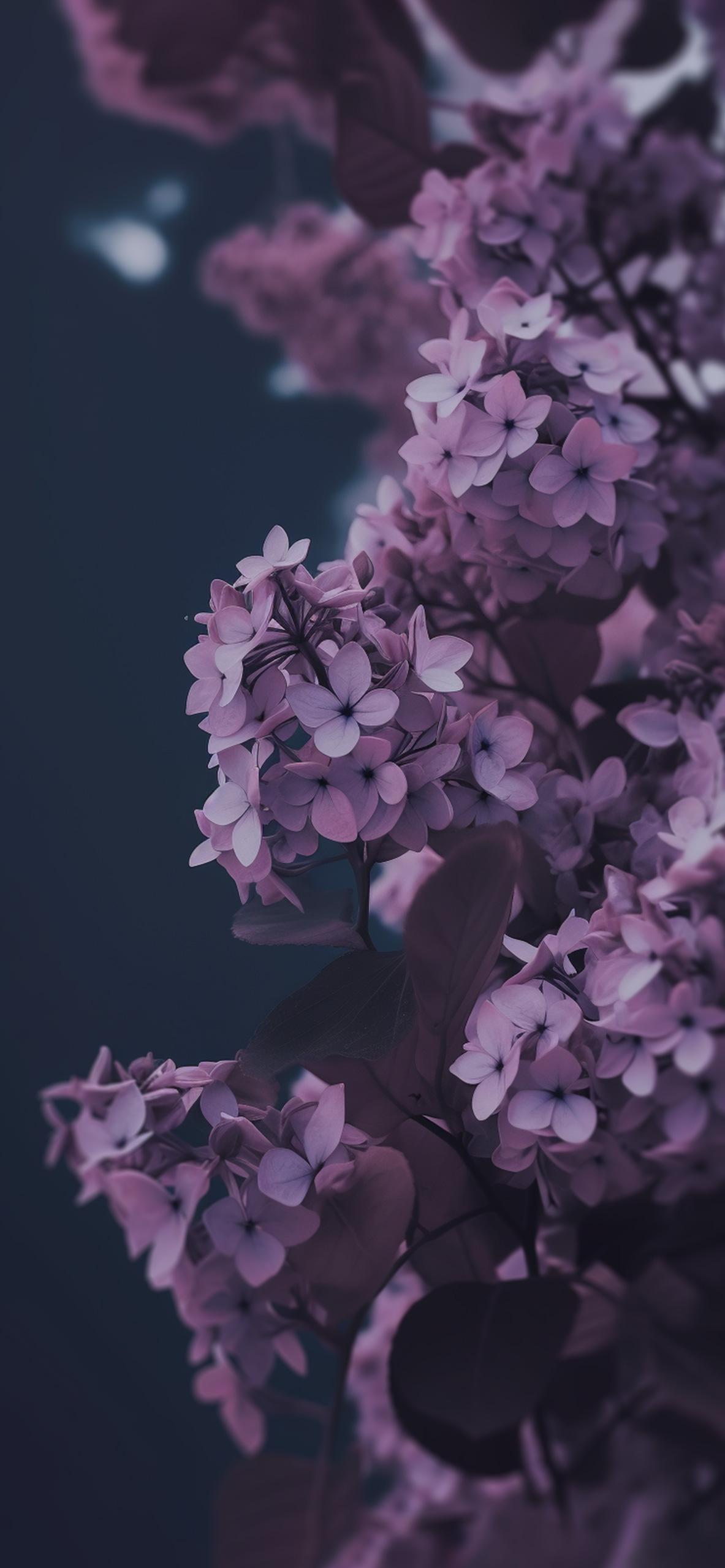 Mon Lilac Aesthetic Wallpaper Blossom iPhone