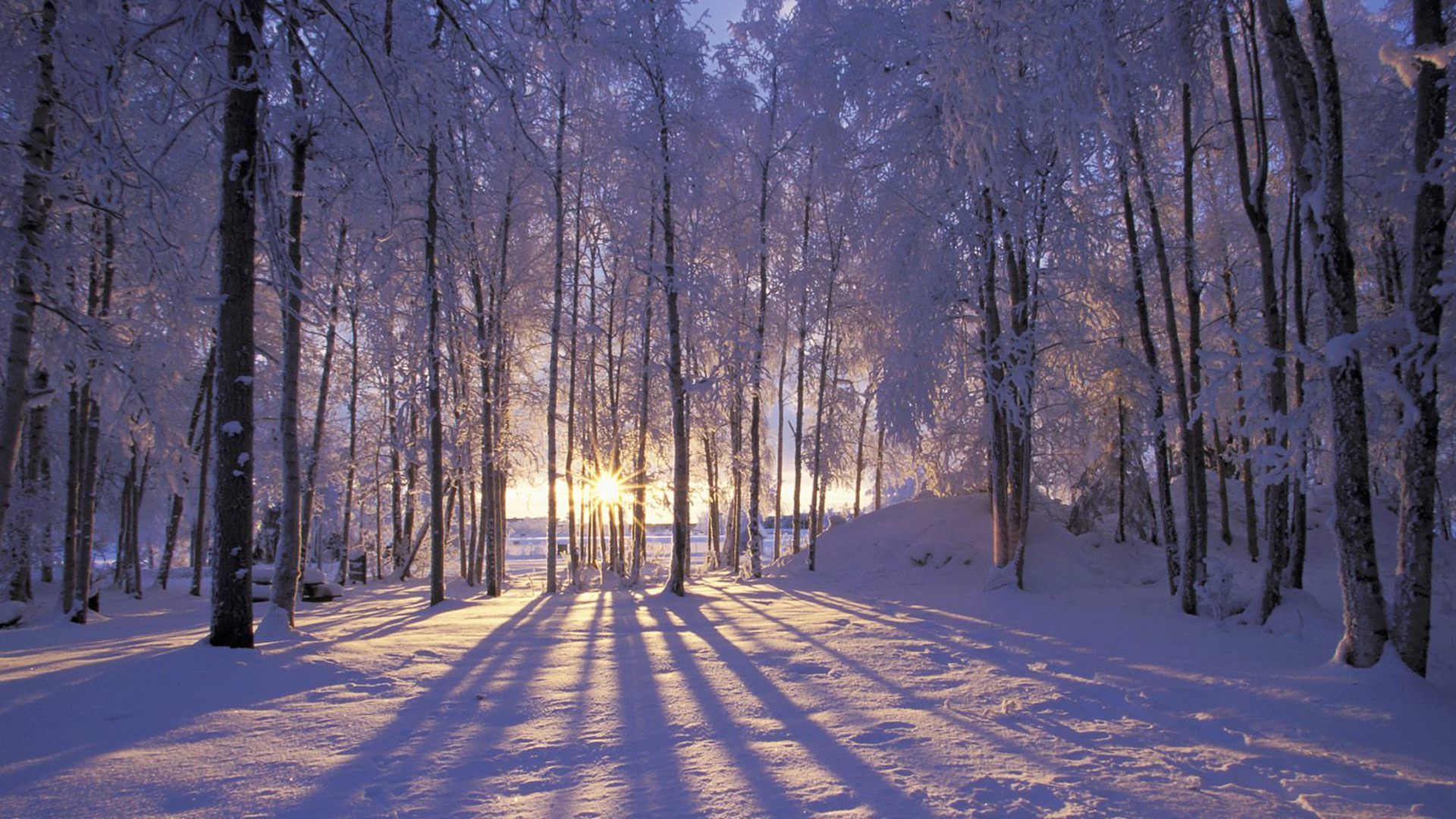 Winter Wallpaper 1080p At Landscape Monodomo