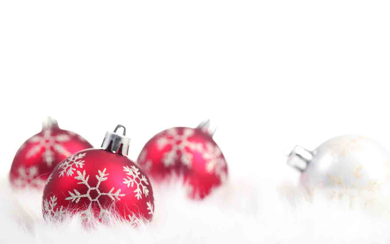 Christmas Background For Your Florist Website Floranext