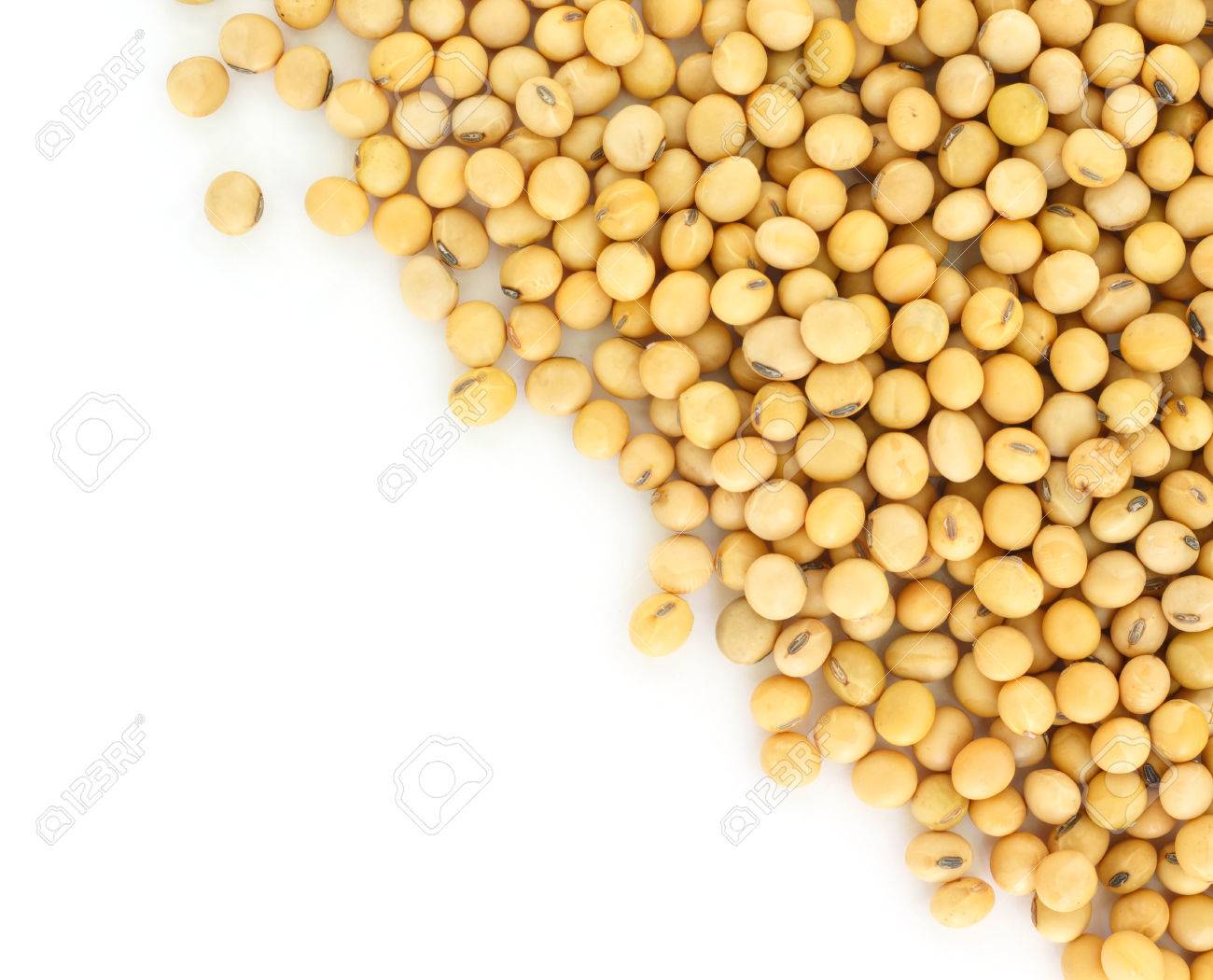 Free download Soy Bean Plant Seed Healthy Vegetable Food Nature